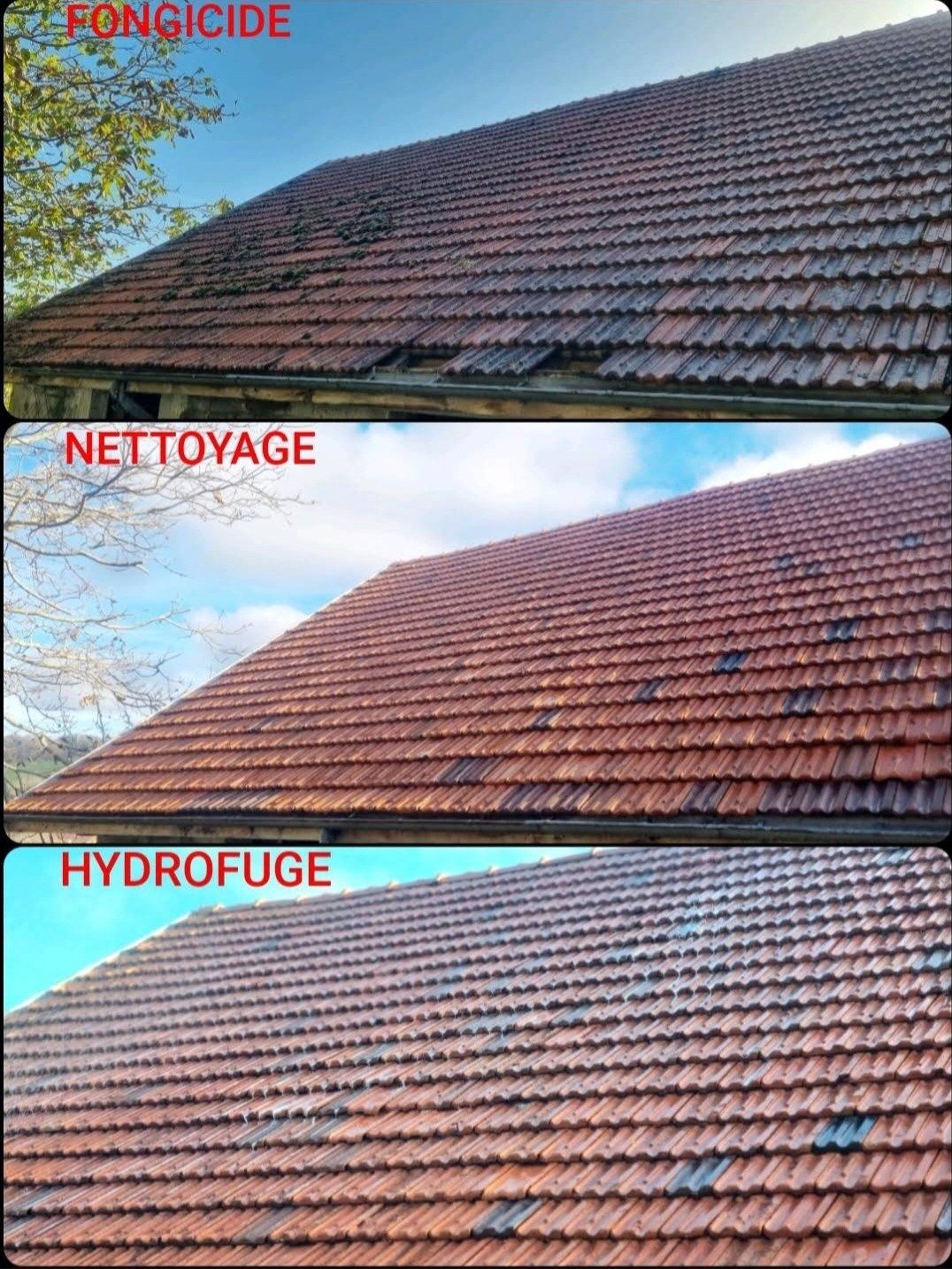 Le même toit à trois étapes : traitement fongicide, nettoyage, puis hydrofuge.